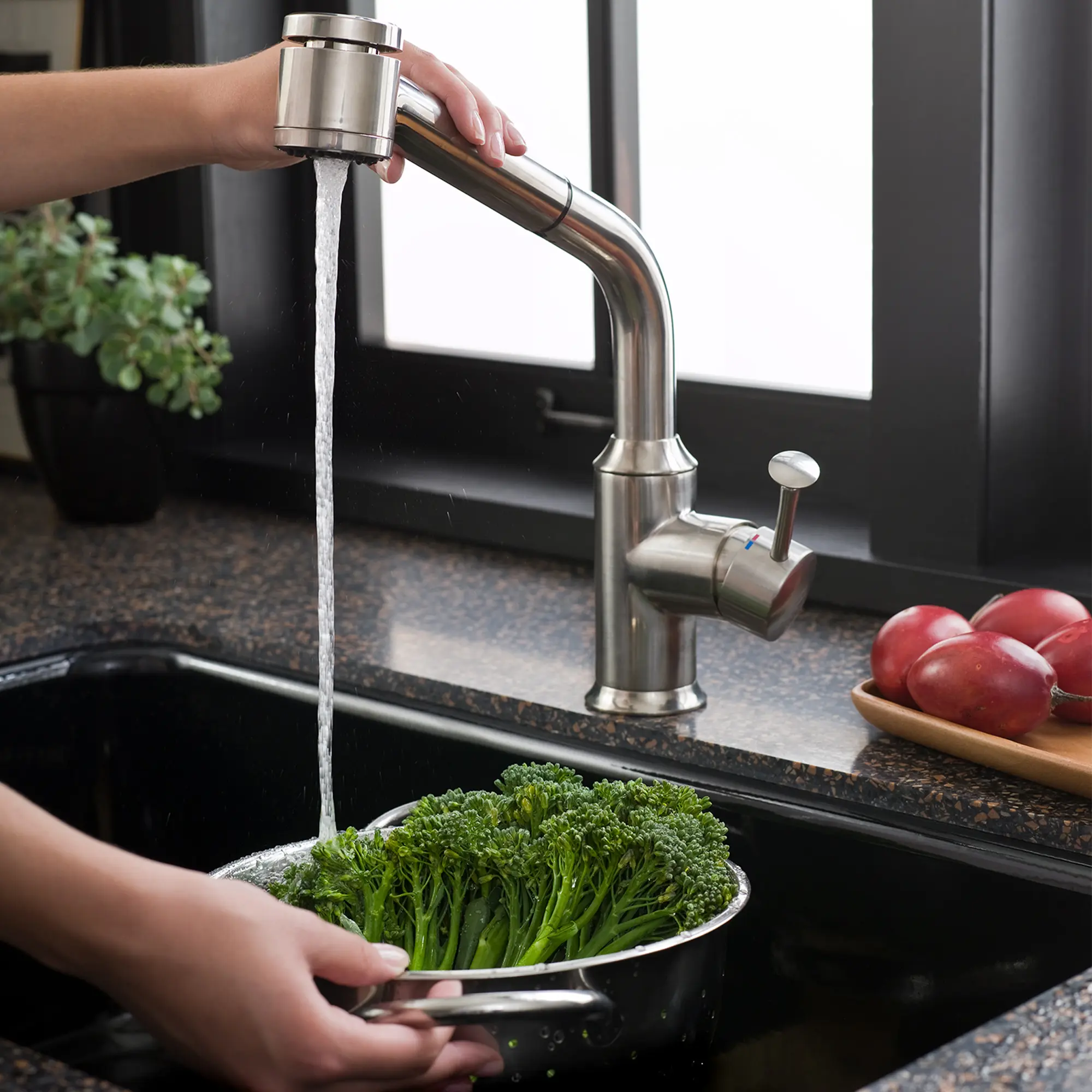 Pekoe 1-Handle Pull-Out Kitchen Faucet - Image 2