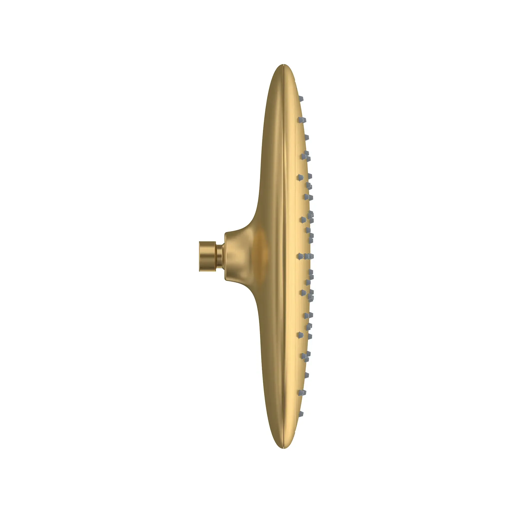 Spectra® Rain 11-Inch 1.8 gpm/6.8 L/min Water-Saving Rain Showerhead - Image 2